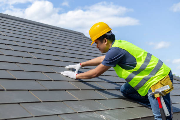 Best Roof Insulation Installation  in Angels, CA
