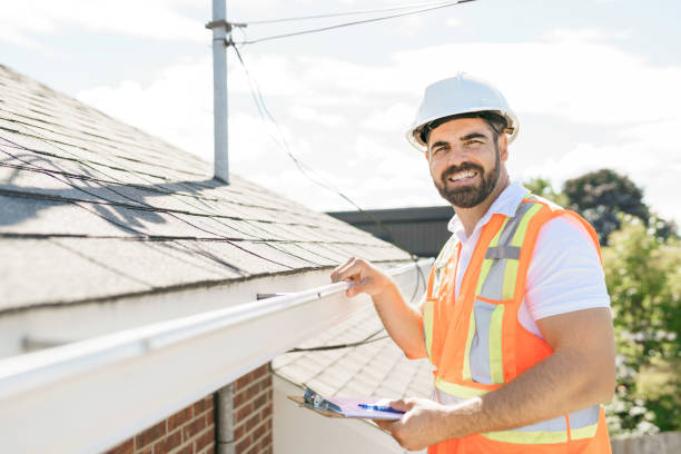 Best Roof Moss and Algae Removal  in Angels, CA